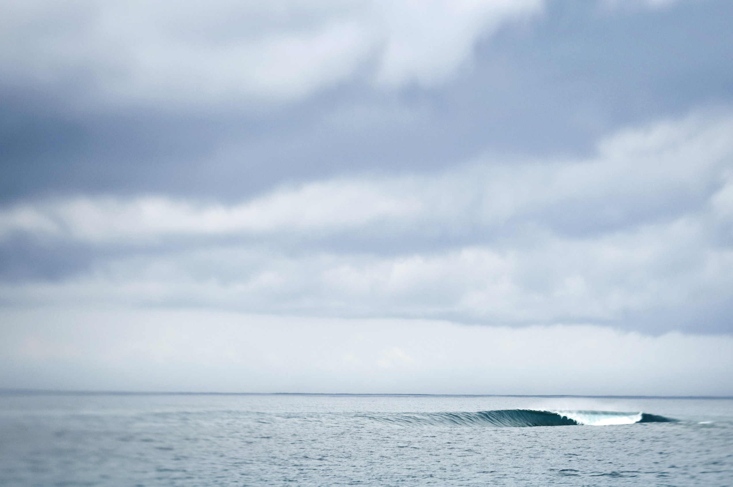 _9MY2709-print2